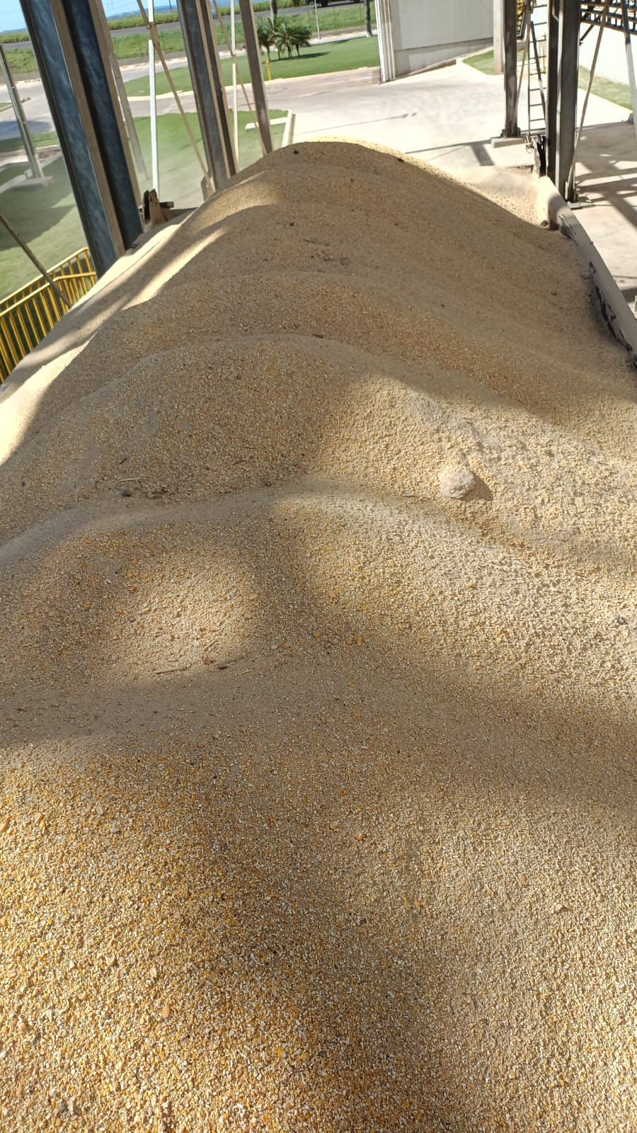 Equipe Fertjan Agronegócios